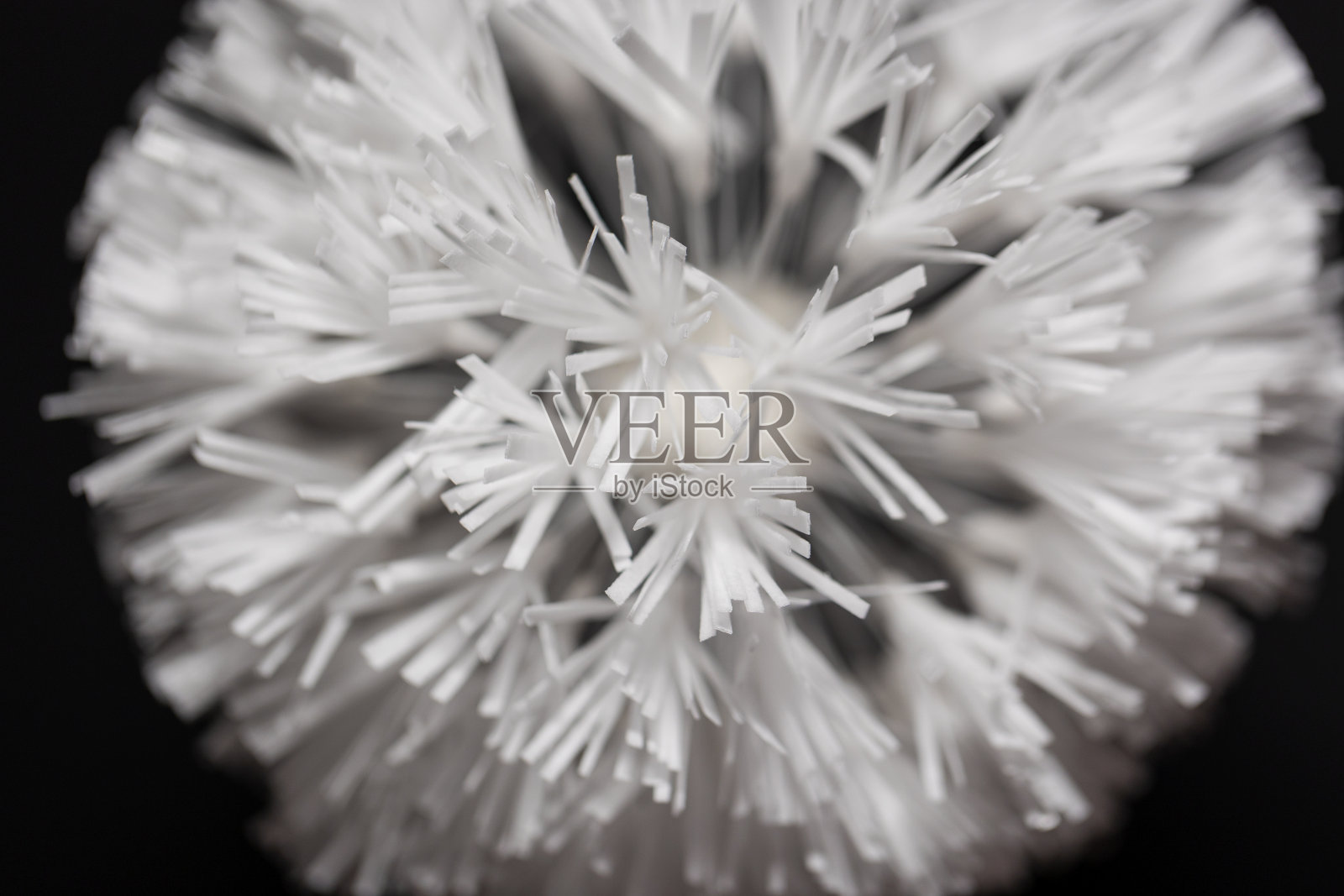 威化纸蒲公英花。压纹纸装饰。糖花艺。米纸泡芙。晶片纸褶边。时尚的爱好。最小艺术食品概念。照片摄影图片