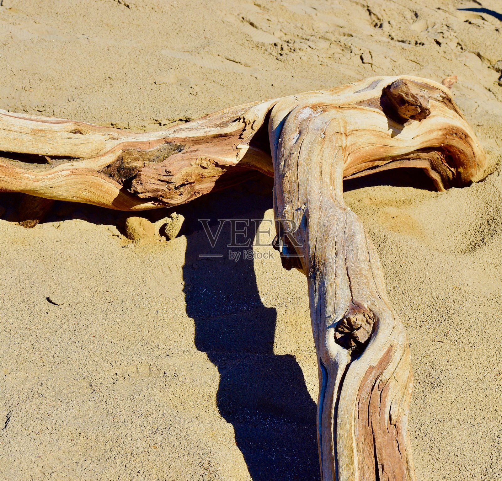 浮木照片摄影图片