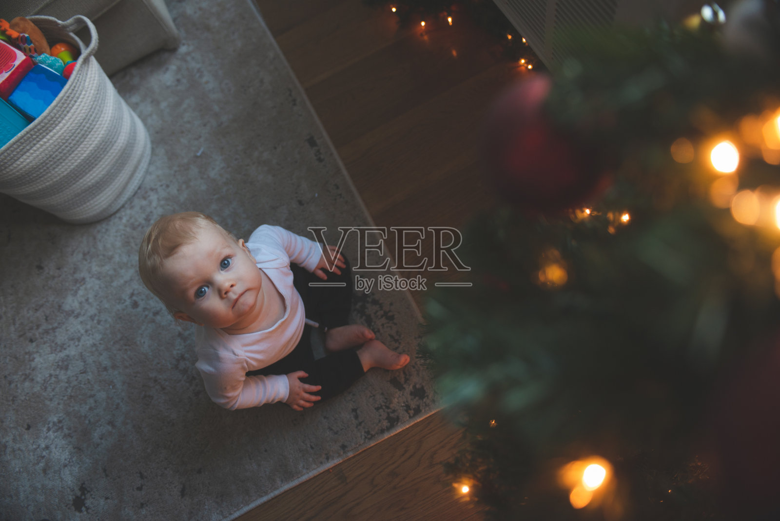 小男孩盯着圣诞树照片摄影图片