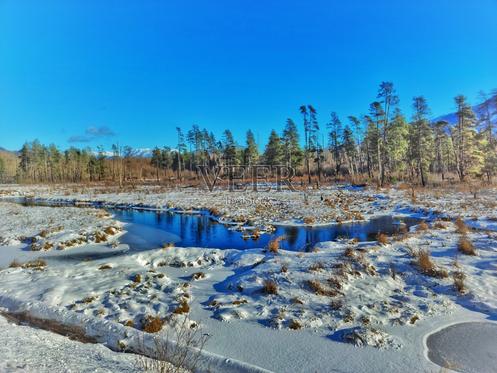 冻照片摄影图片