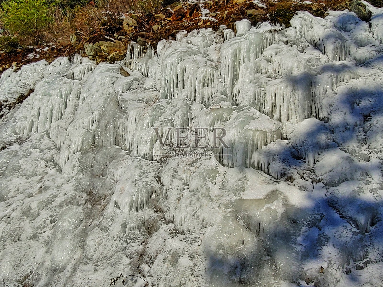 冻照片摄影图片