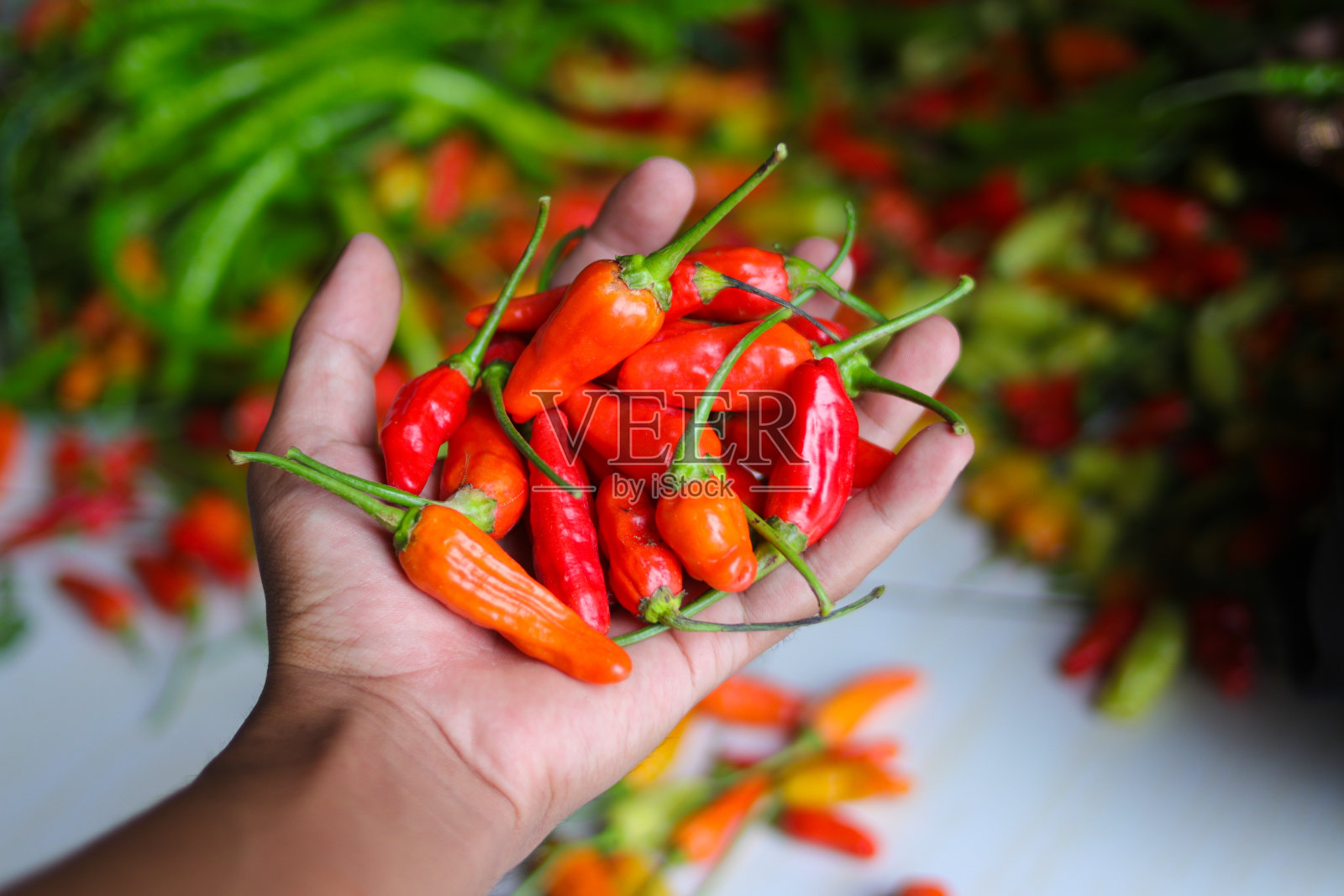 一串小辣椒,或者叫cabai rawit merah,是印尼当地农民刚从花园里收获的照片摄影图片