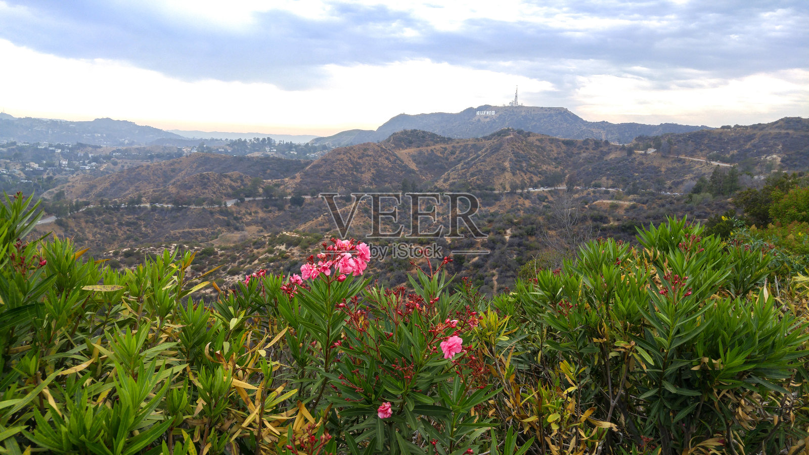 被群山环绕的好莱坞丘陵的全景。照片摄影图片
