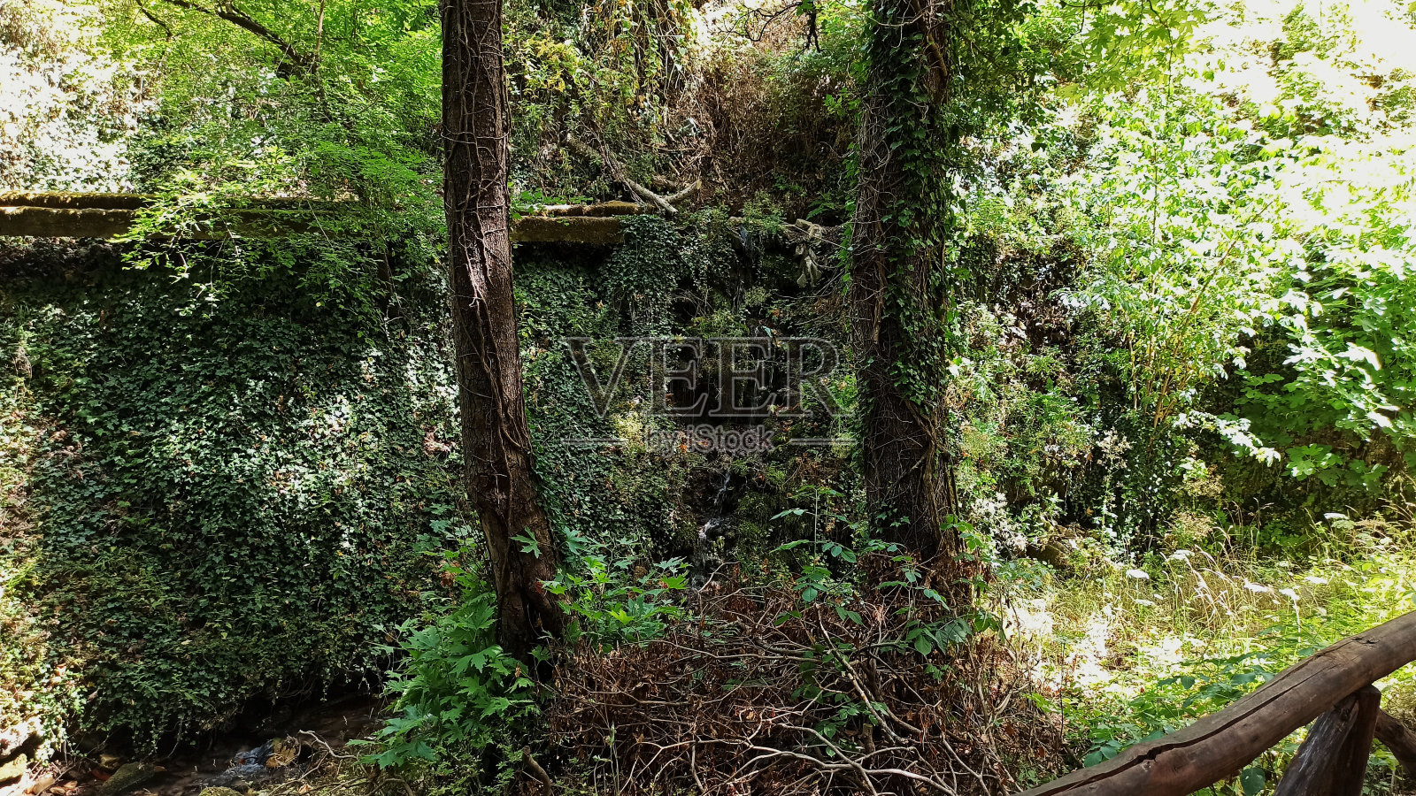 希腊Karpenisi的Megalo Chorio村,森林中的木道照片摄影图片