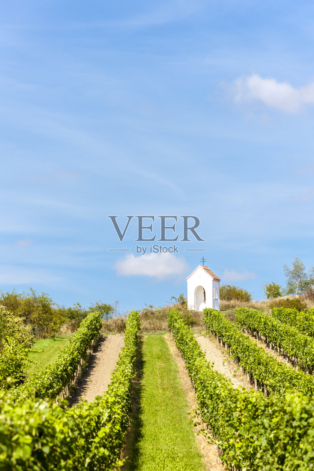 捷克共和国摩拉维亚南部,靠近楠尼斯和葡萄园的路边照片摄影图片