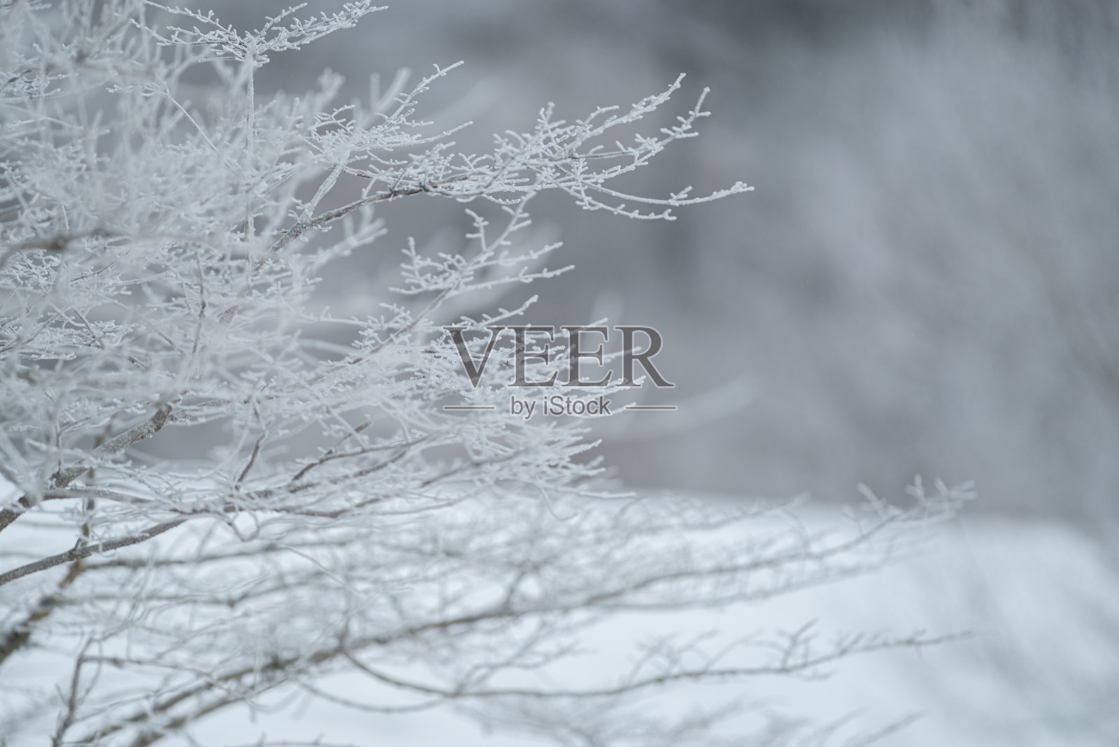 冬天的景色照片摄影图片