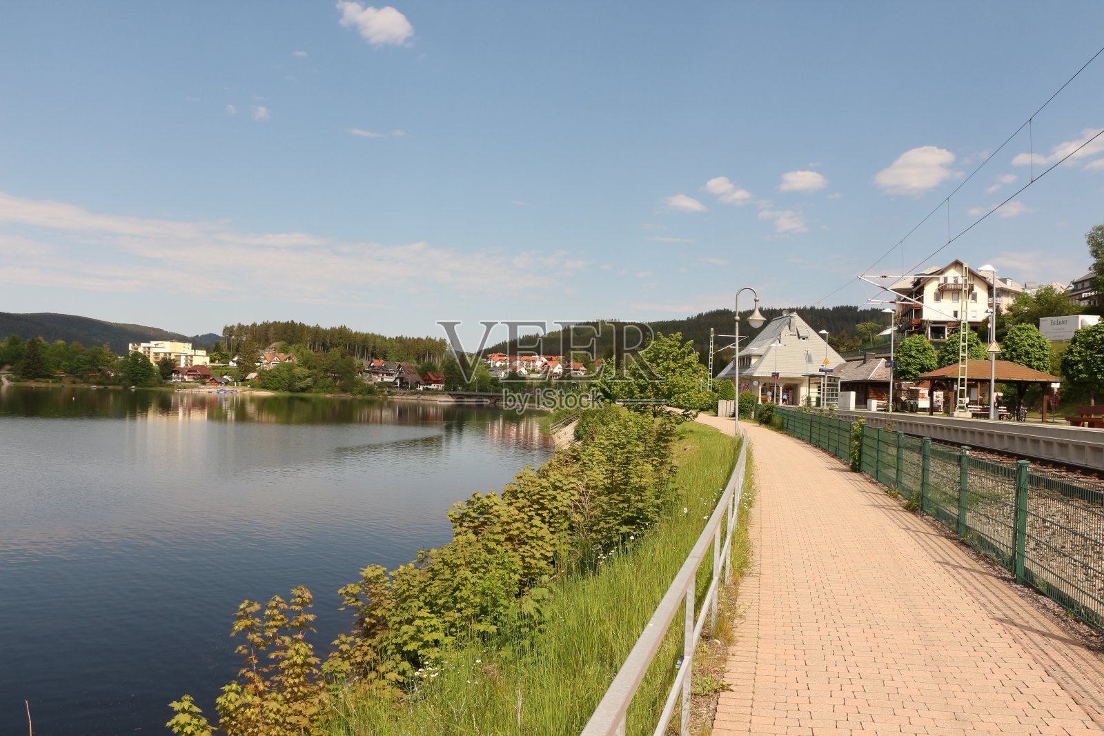 在黑森林的Schluchsee的清晨照片摄影图片