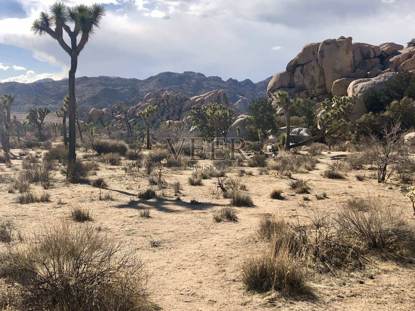 沙漠照片摄影图片