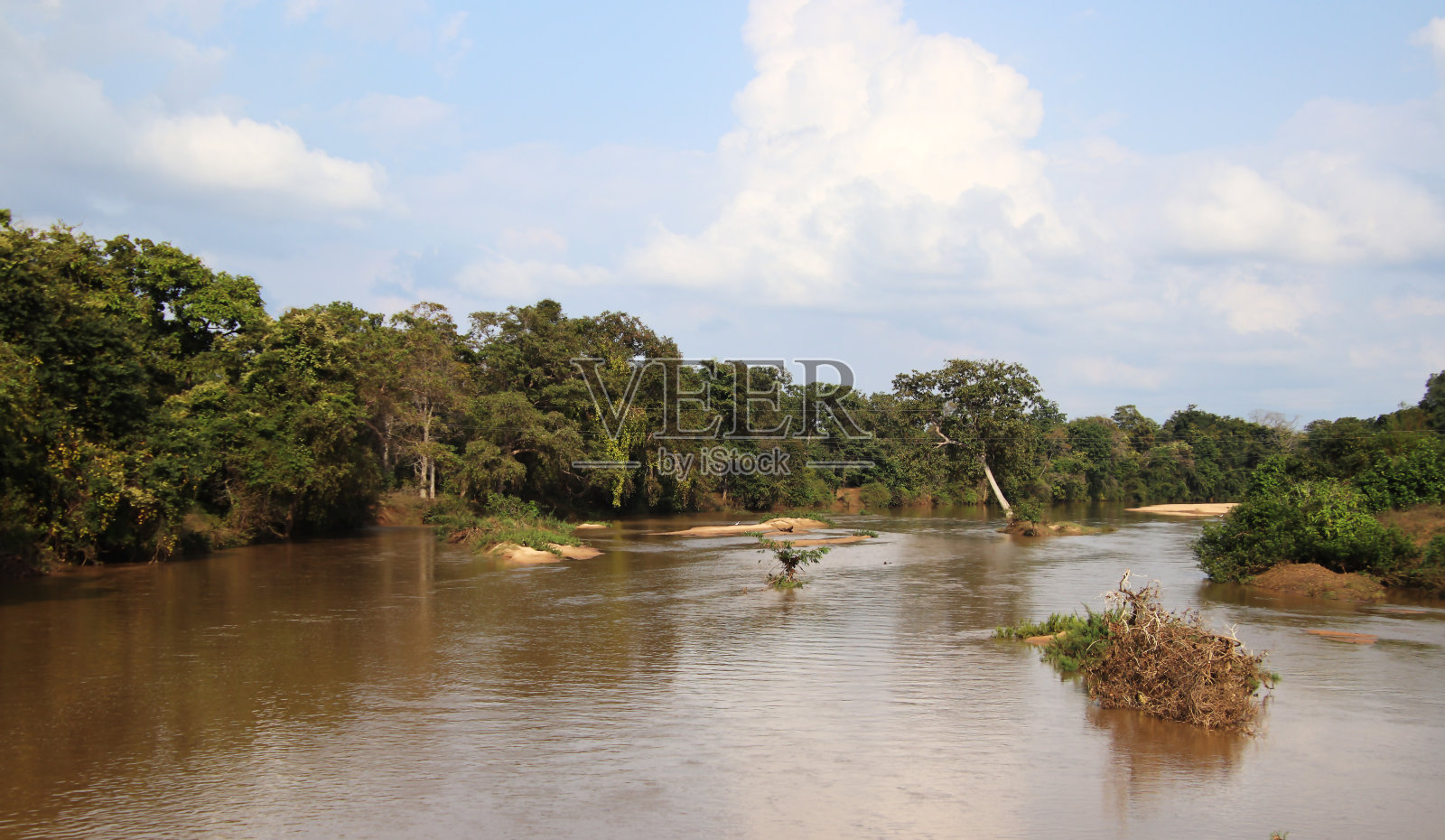 河-树-水-云照片摄影图片