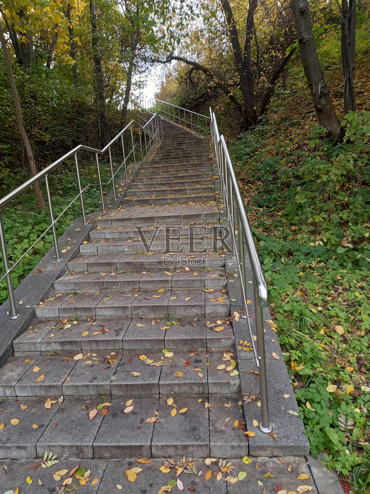 梯照片摄影图片