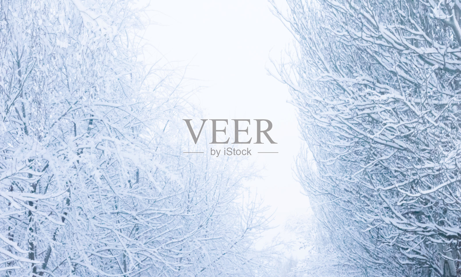 冰雪覆盖的冬季景观。背景与暴雪。照片摄影图片