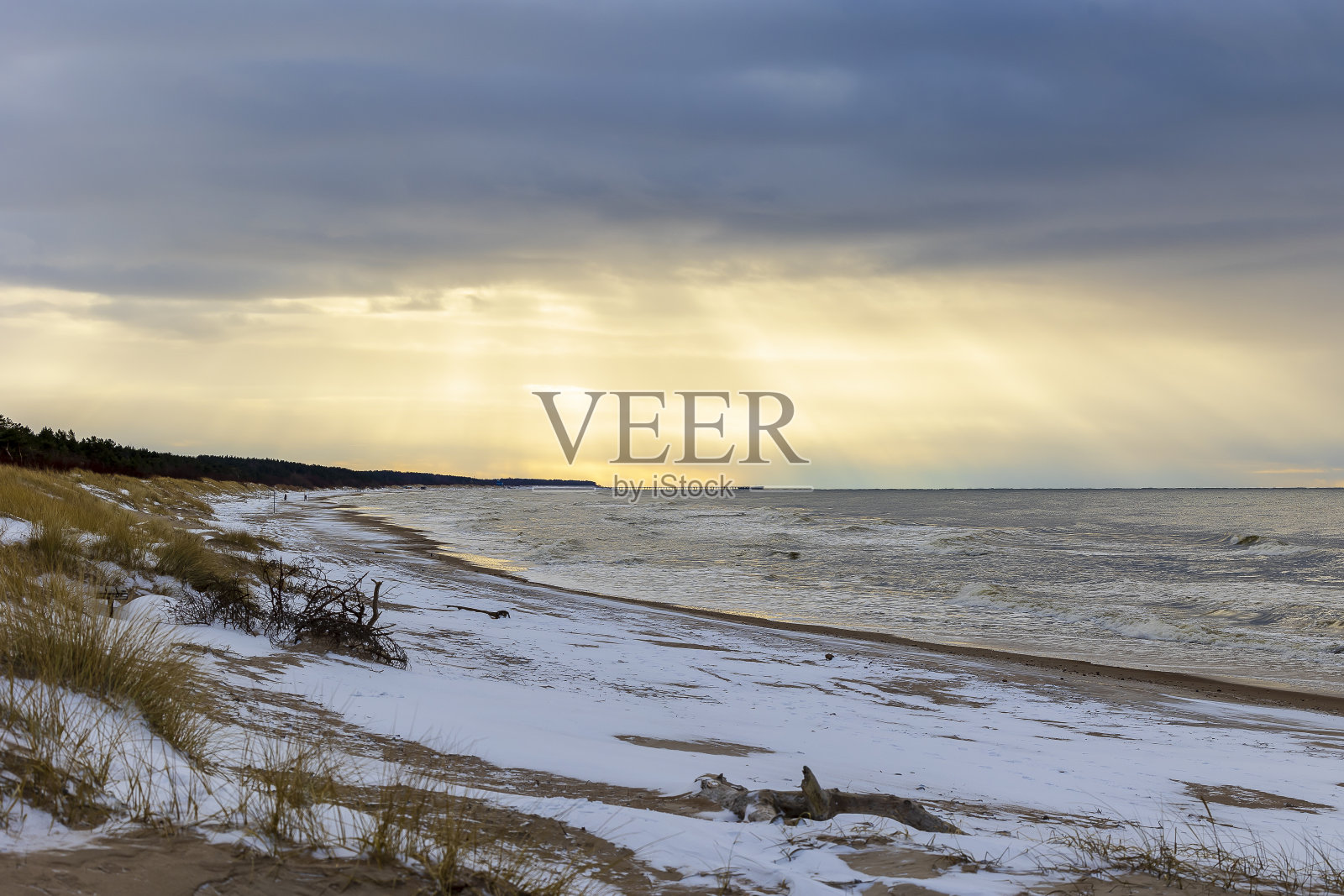 冬天的观点。照片摄影图片