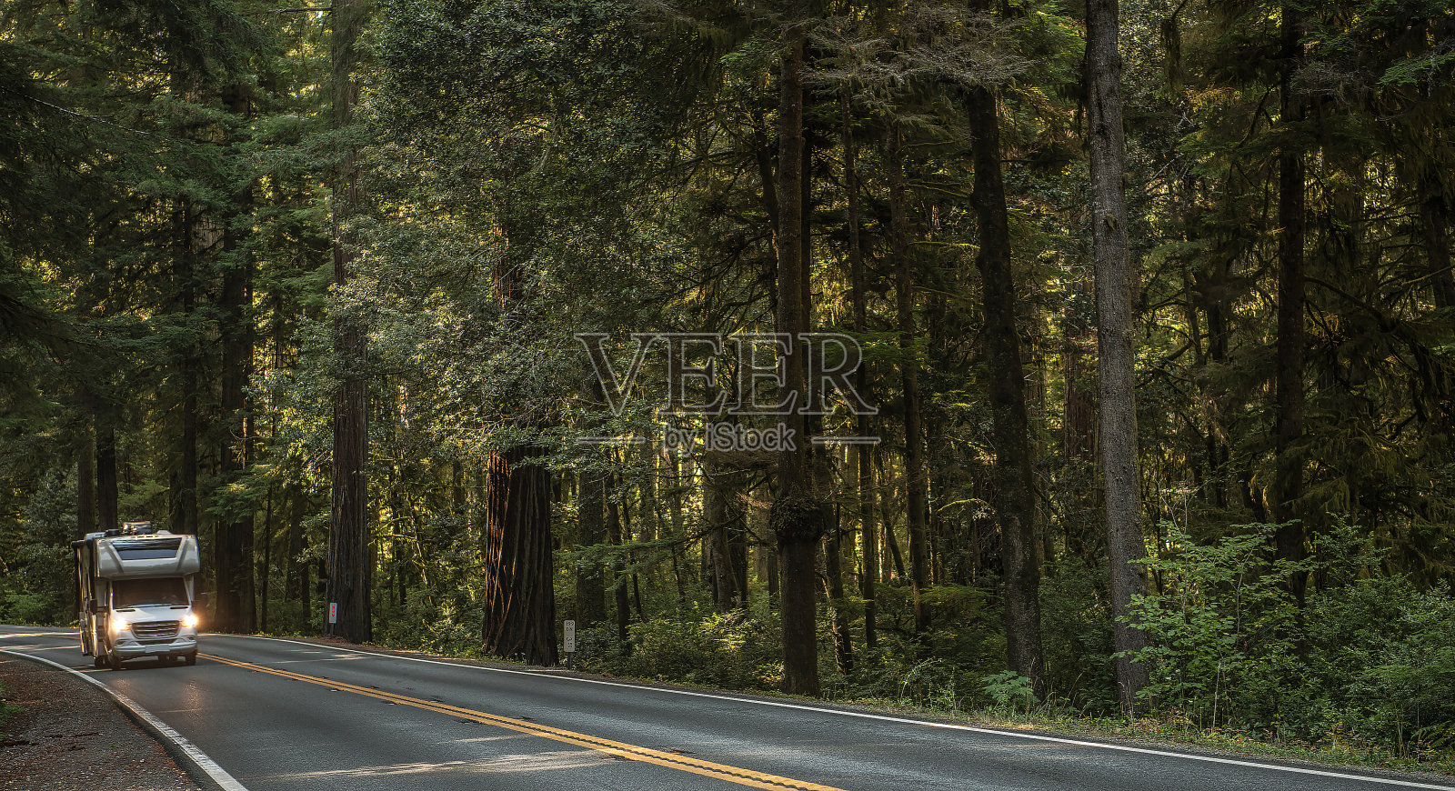 森林公路上的房车露营车照片摄影图片