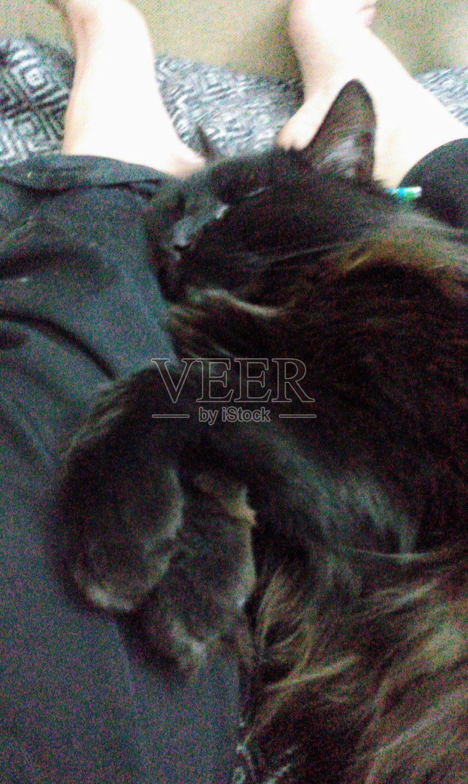 午睡照片摄影图片