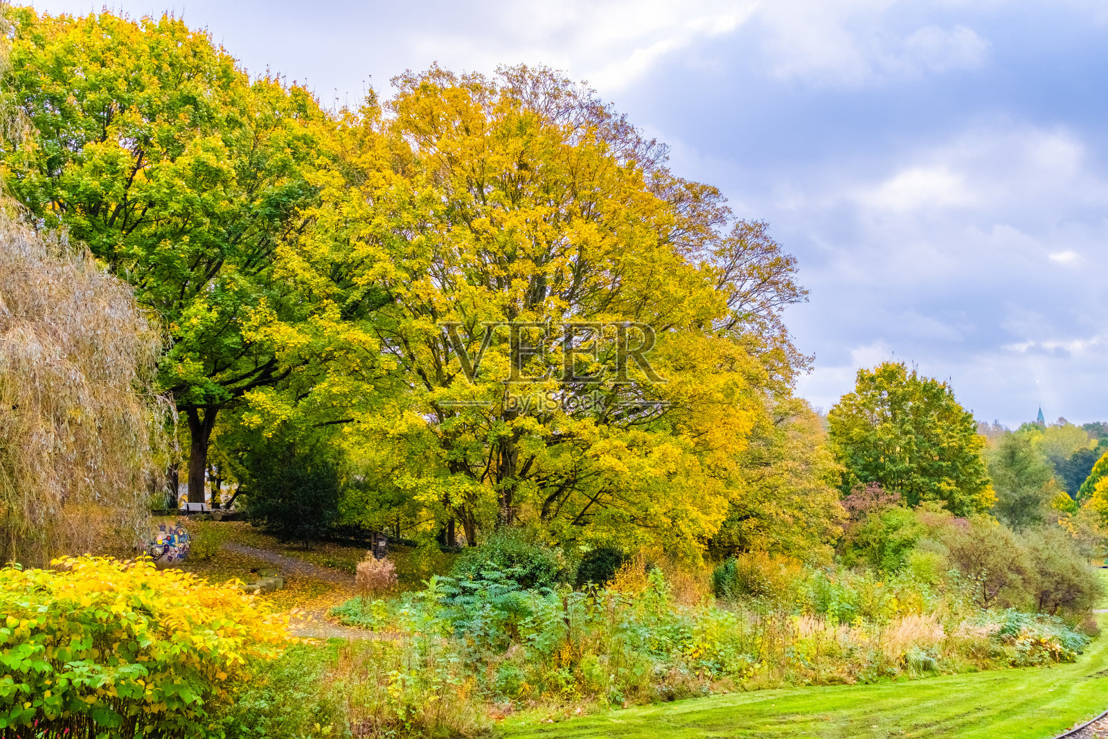 秋天在公园照片摄影图片