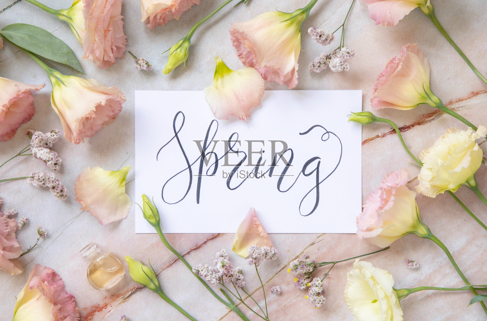 卡片上带着文字,春天被粉红色的鲜花包围照片摄影图片