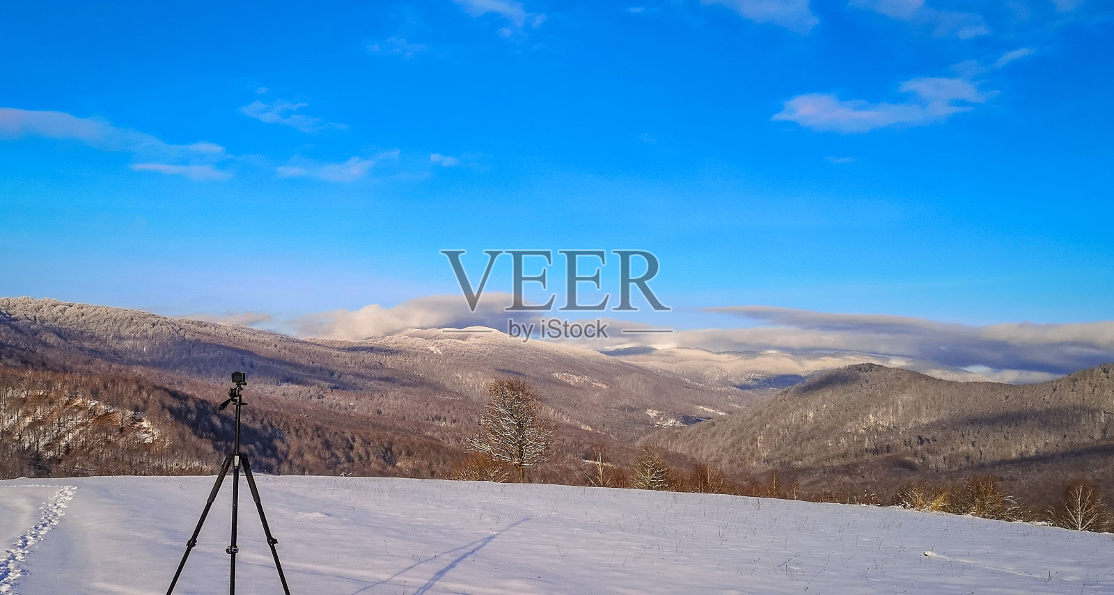 喀尔巴阡山脉的冬季景观照片摄影图片