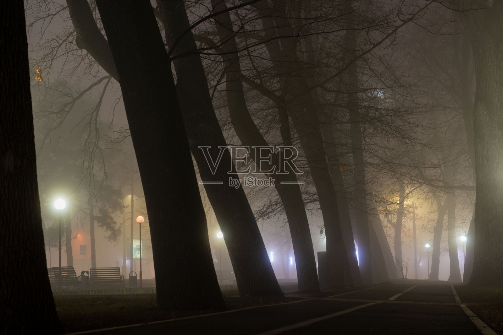 雾蒙蒙的夜晚,城市的树木和灯光照片摄影图片