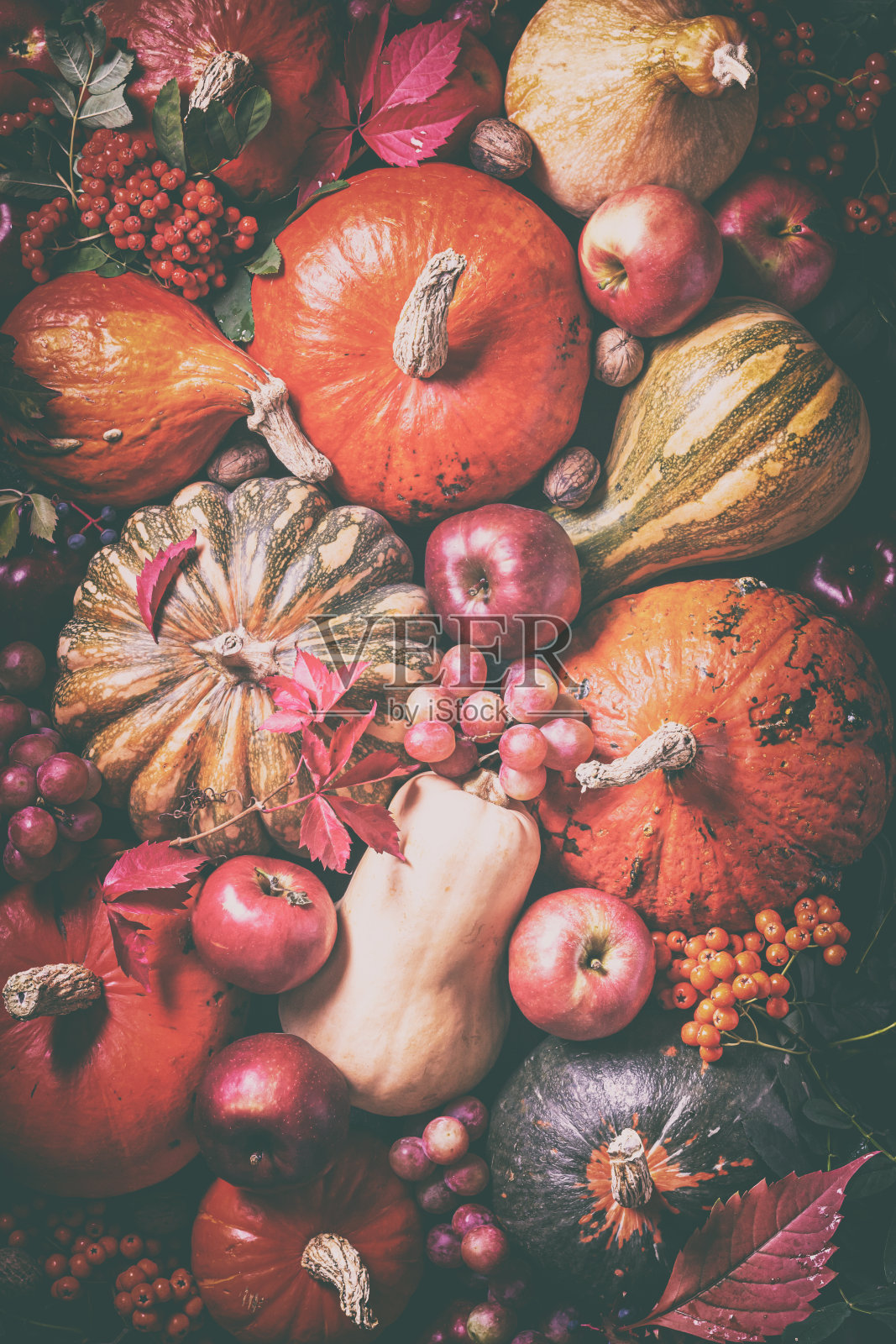 Аutumn农业背景来自收获的水果和蔬菜,平铺照片摄影图片