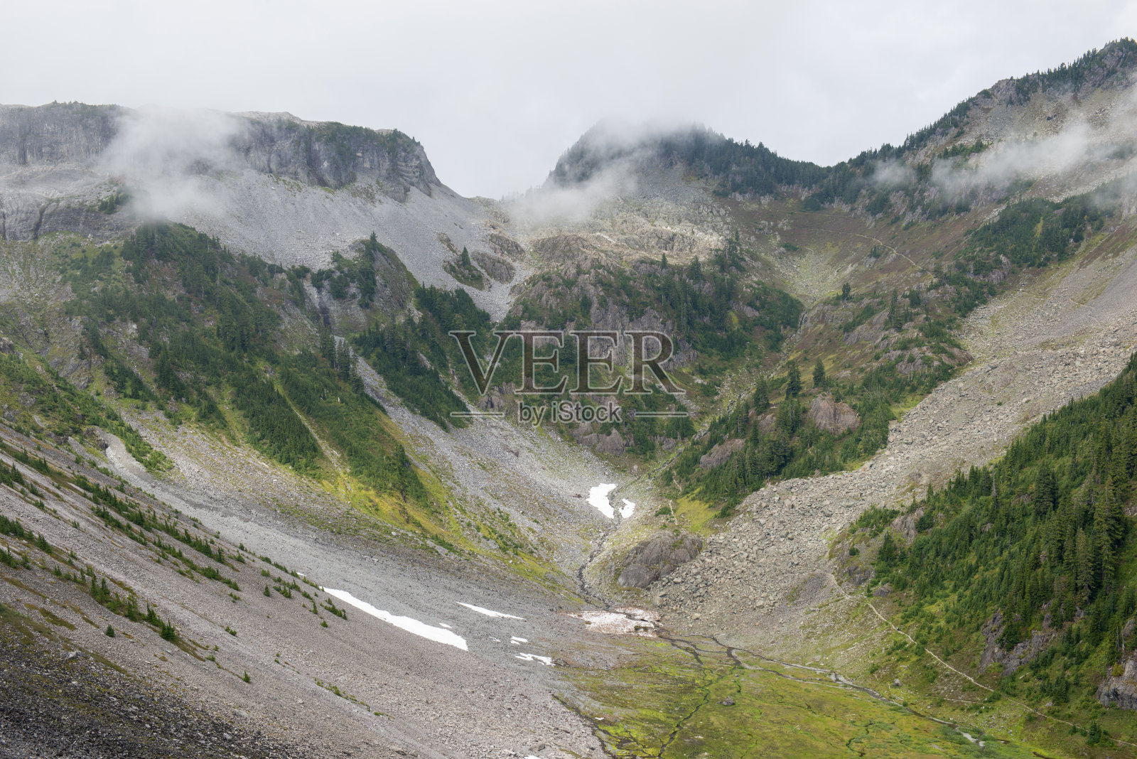 贝克山休闲区希瑟草地的风景照片摄影图片