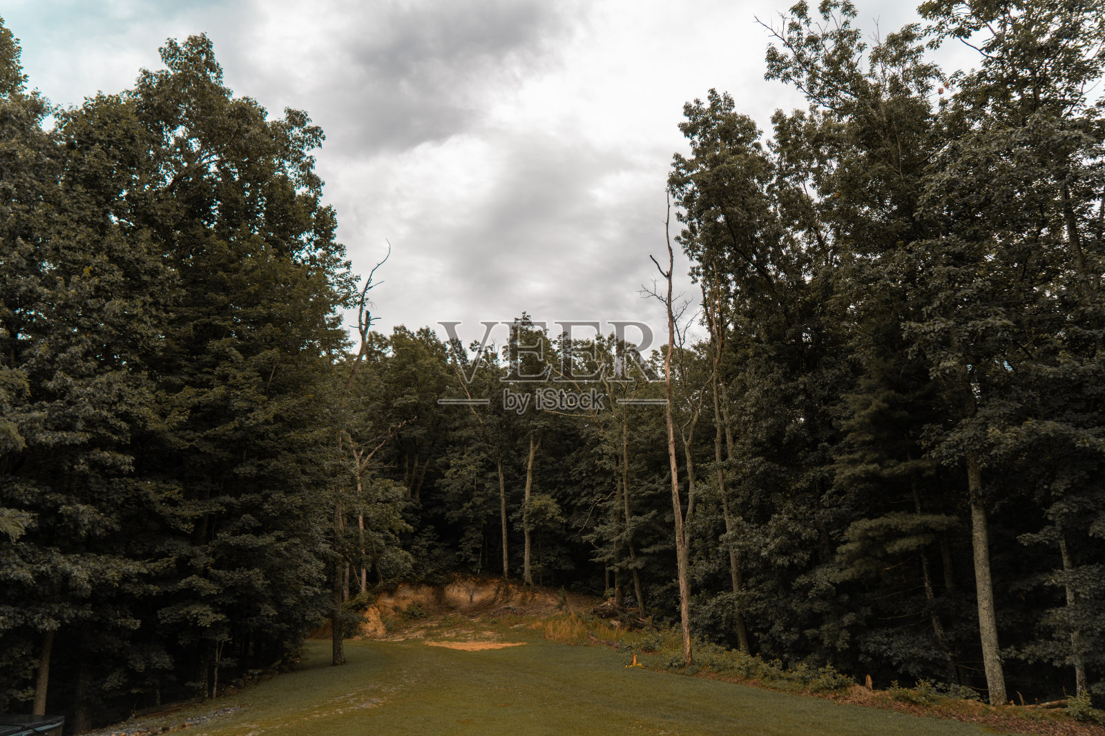 Saluda北卡罗莱纳照片摄影图片