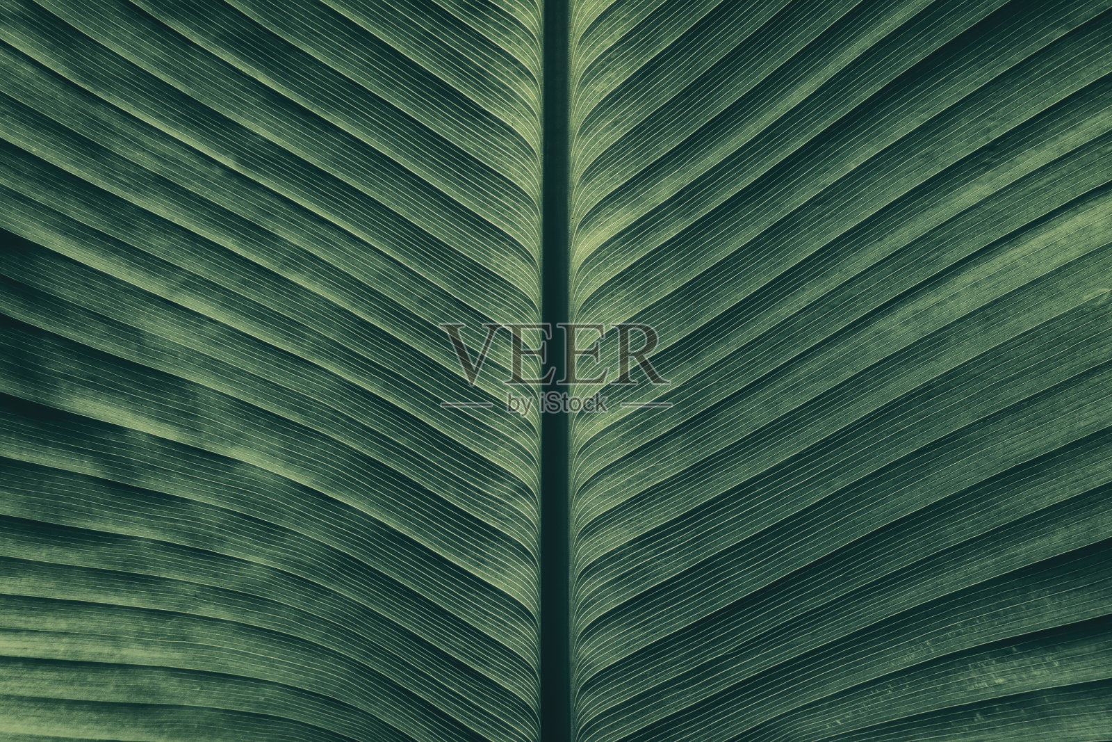 抽象纹理背景照片摄影图片