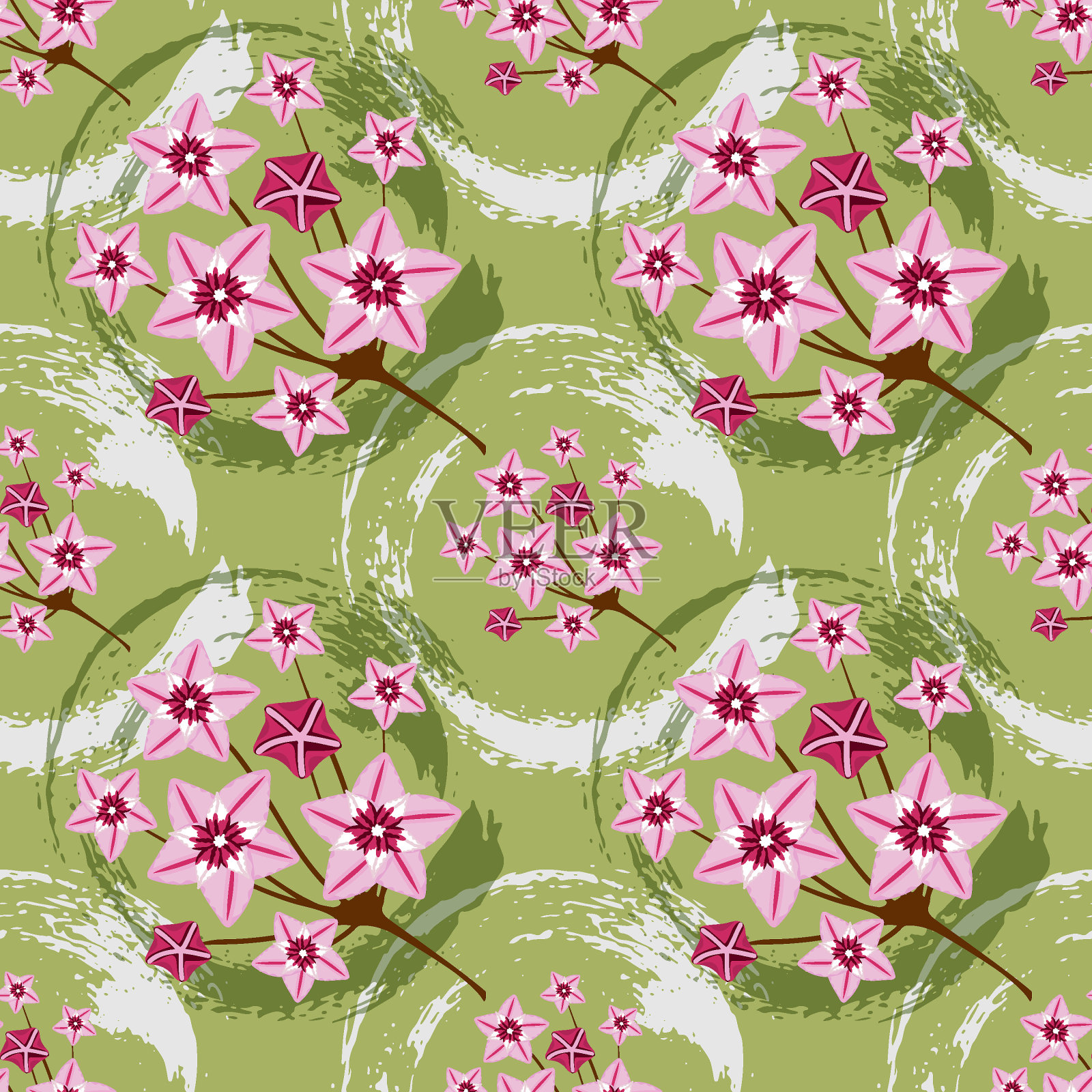 无缝图案与霍亚家花插画图片素材