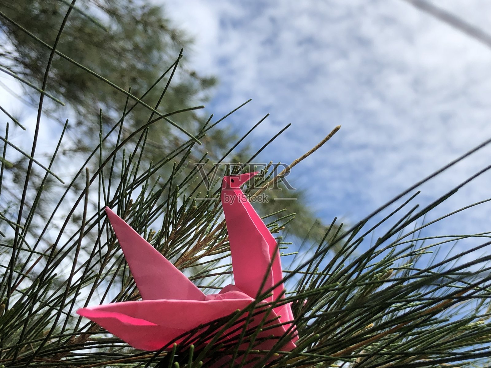 一张由折纸制成的起重机靠在树枝上的照片照片摄影图片