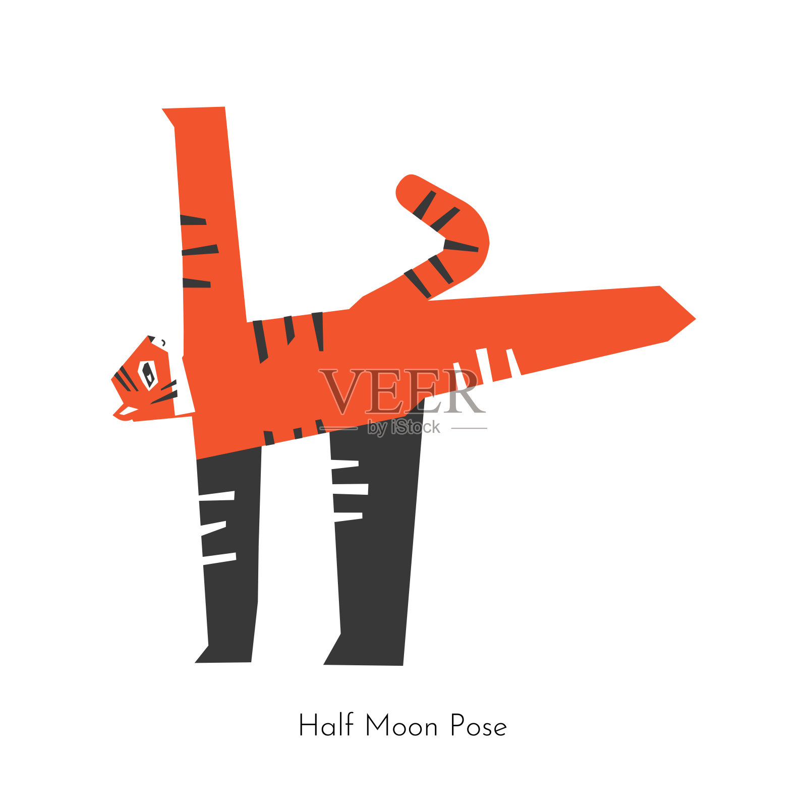 矢量平面概念与平面动物角色做瑜伽。韩国老虎学习放松和平衡姿势-半月式。基本的健身运动- Ardha Chandrasana插画图片素材