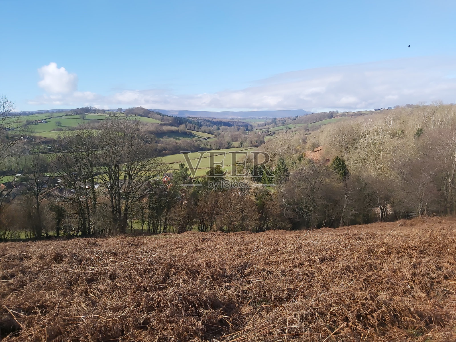 赫里福德郡的山丘和山谷沐浴在冬日的阳光中照片摄影图片
