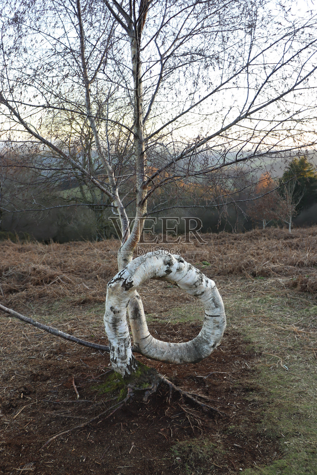 日落在威尔士山谷到赫里福德郡边界的Ewyas Harold附近照片摄影图片