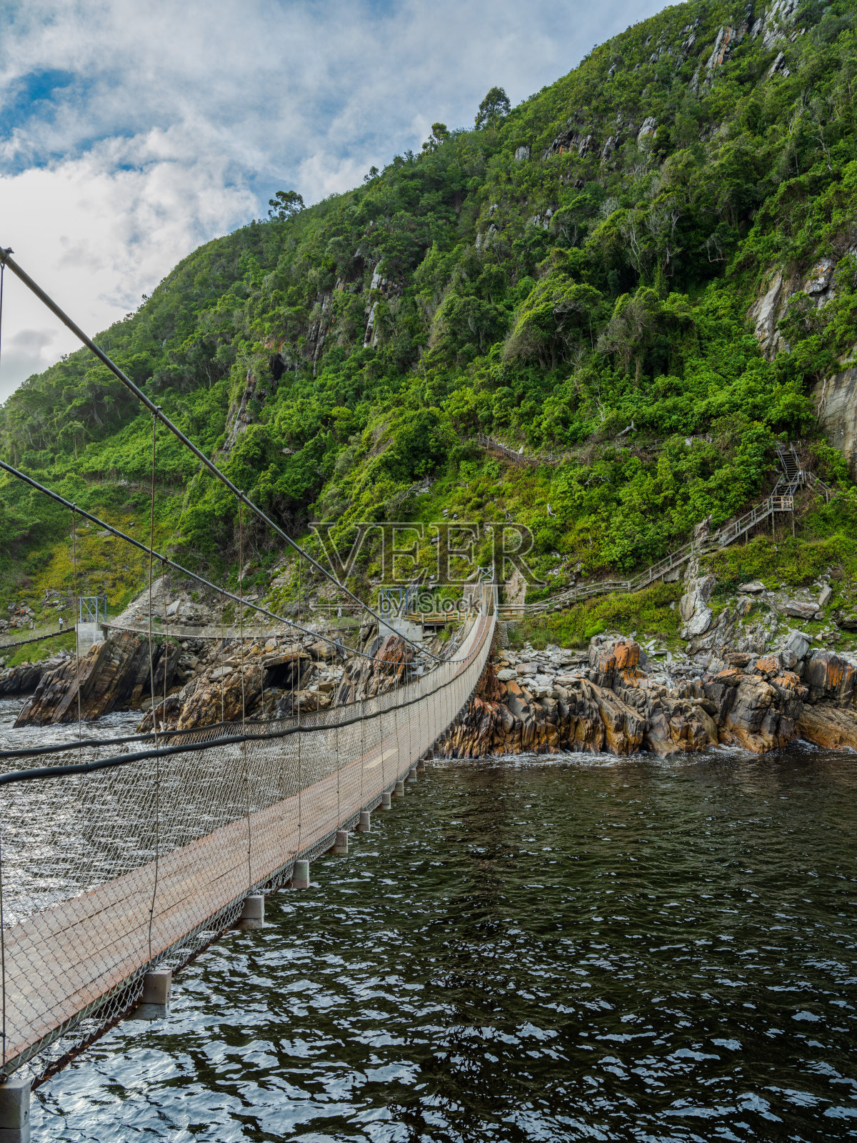 位于Tsitsikamma国家公园花园路线的风暴河口吊桥照片摄影图片