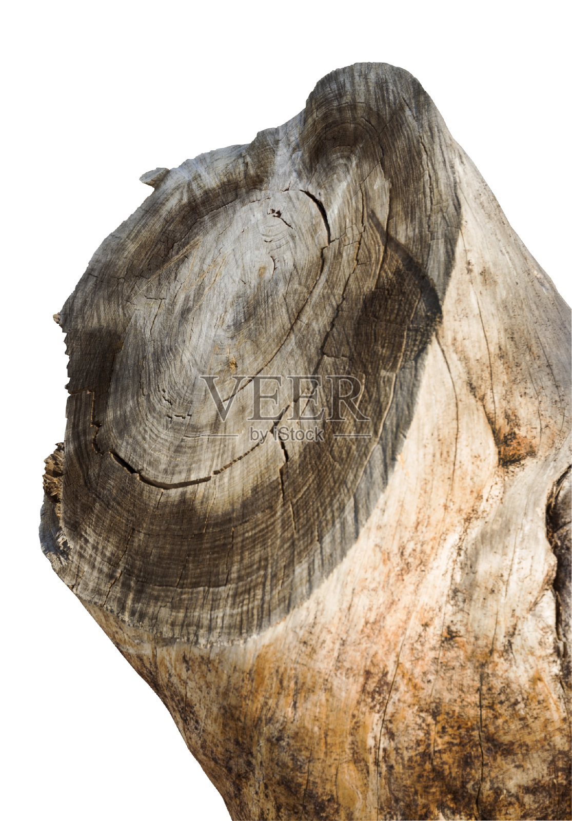 树木年轮古老的风化木材纹理与切割原木的横截面。照片摄影图片