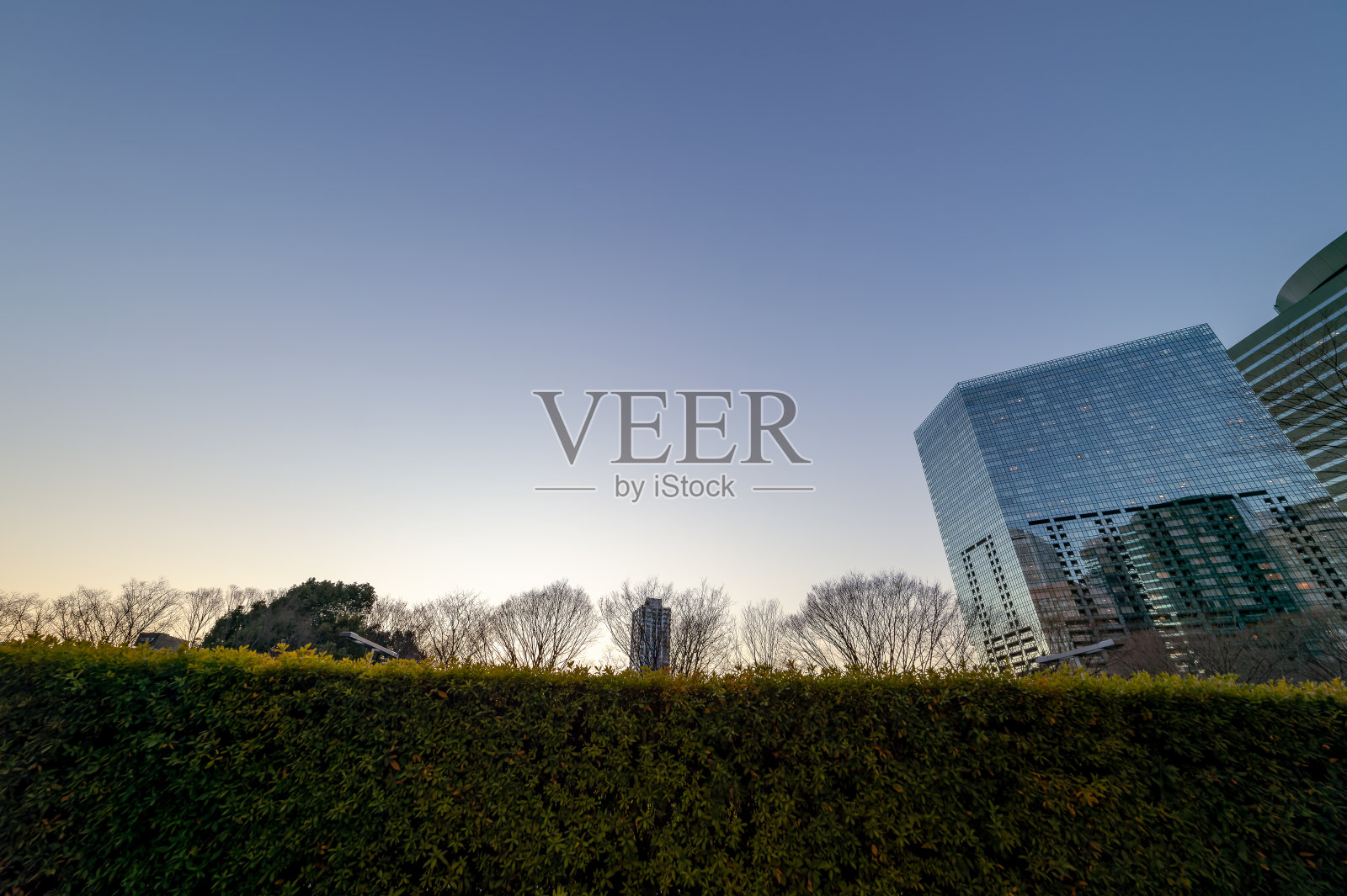 西新宿、新宿、东京傍晚的城市景观。照片摄影图片