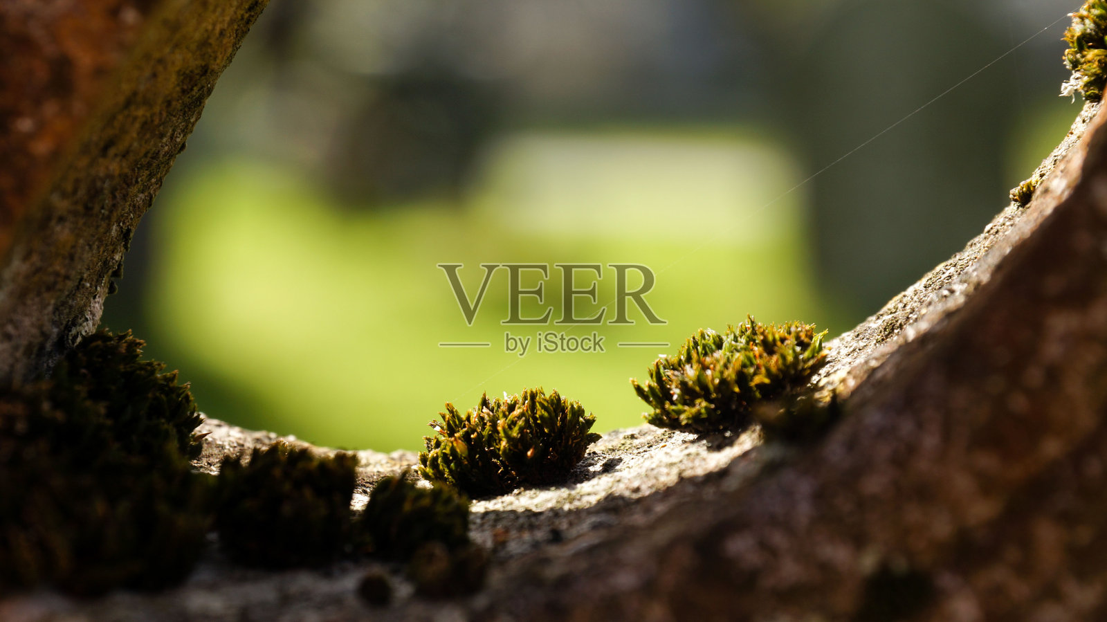 爱尔兰都柏林附近威克洛路上的格兰达洛废墟。照片摄影图片