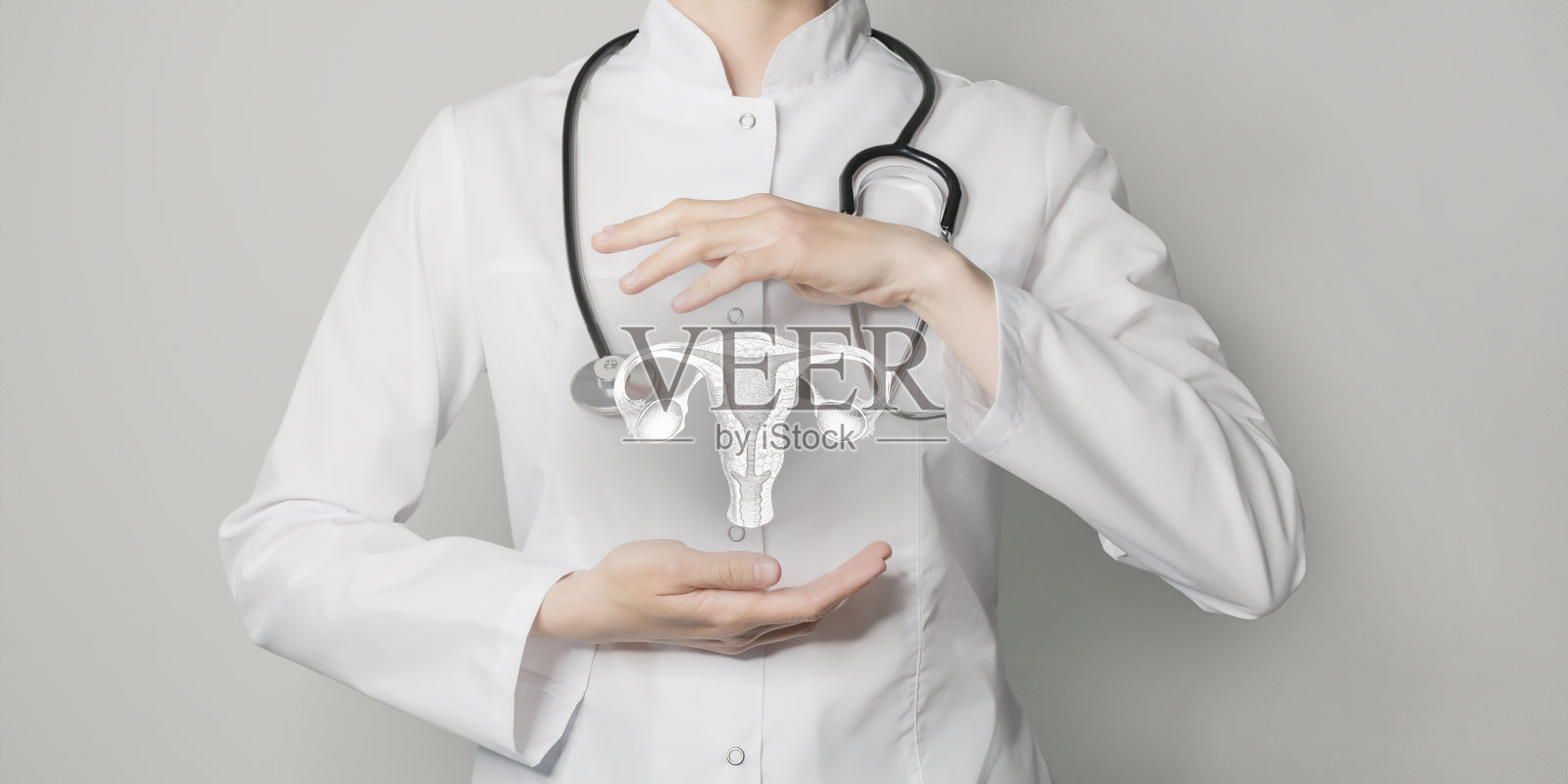 妇科医生,妇科专家。人类子宫美学手绘高亮插图。中性灰色背景,工作室照片和拼贴。照片摄影图片