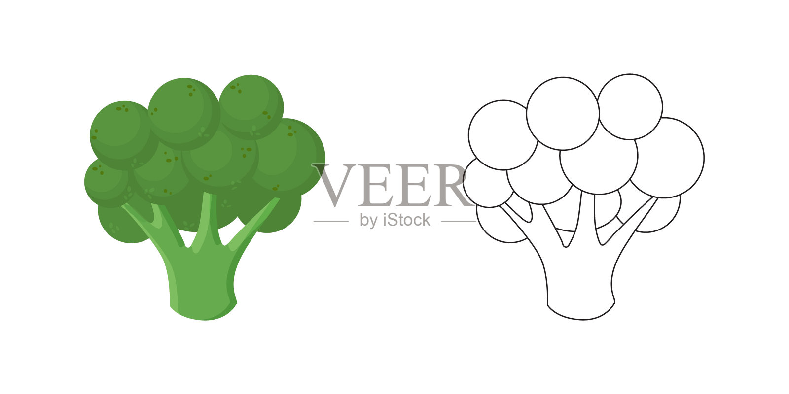 绿花椰菜要上色,本涂色书适合学龄前儿童,具有简单的教育游戏水平。矢量图插画图片素材