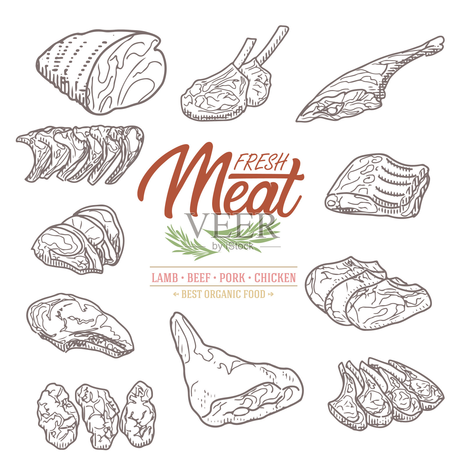 收藏生肉,复古雕刻风格插画图片素材