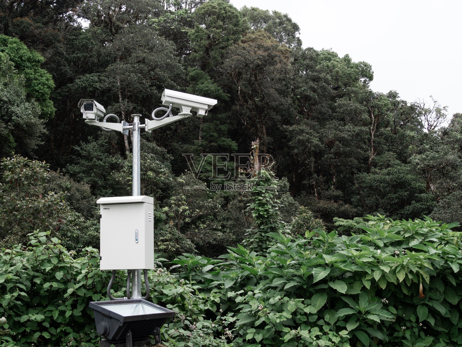 公园里的监控录像。照片摄影图片