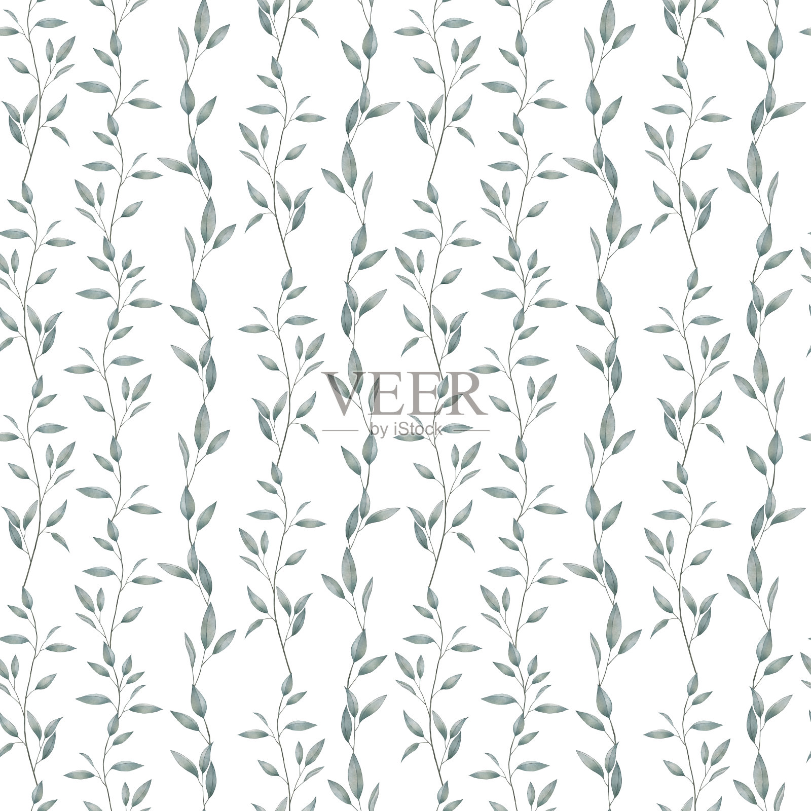 桉树枝叶水彩泉无缝图案插画图片素材