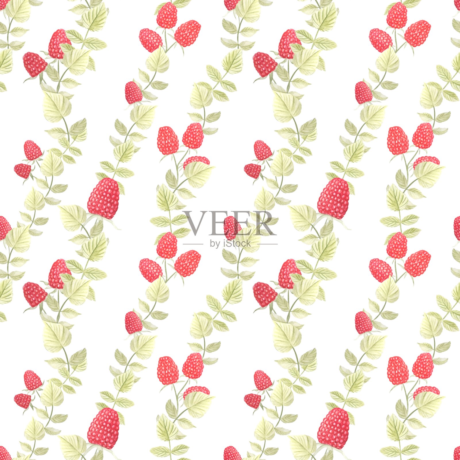 无缝图案与水彩覆盆子插画图片素材