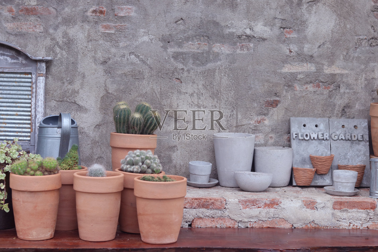 仙人掌和肉质植物在墙上的背景棕色花盆。照片摄影图片