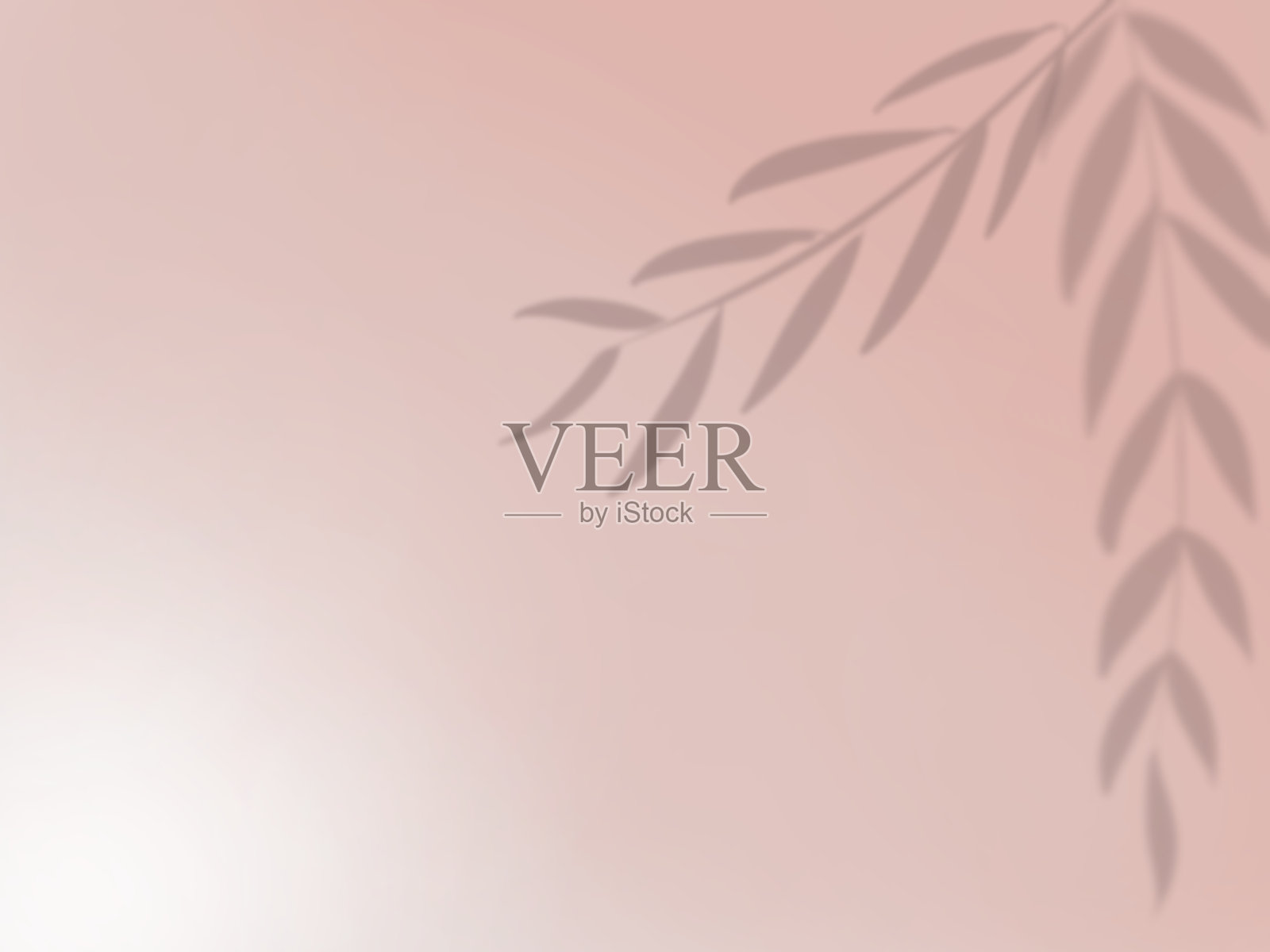 在粉红色的墙上映出树叶的影子的背景插图插画图片素材