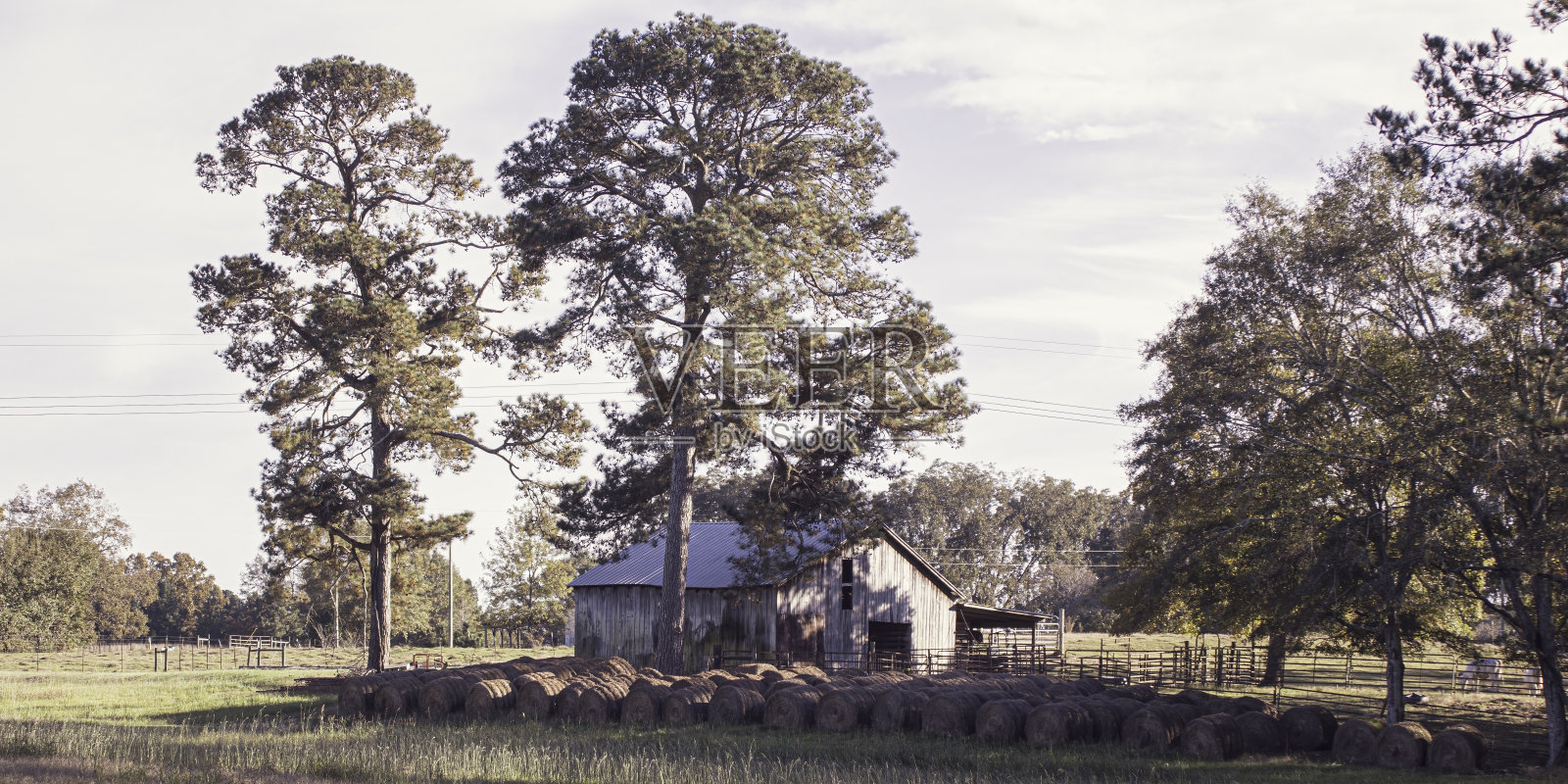 旧谷仓和干草捆的横幅照片摄影图片