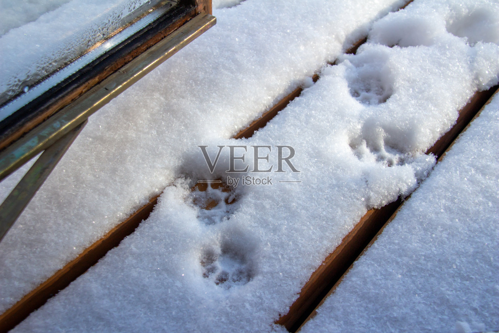 雪地覆盖的甲板上的猫脚印的纹理背景照片摄影图片
