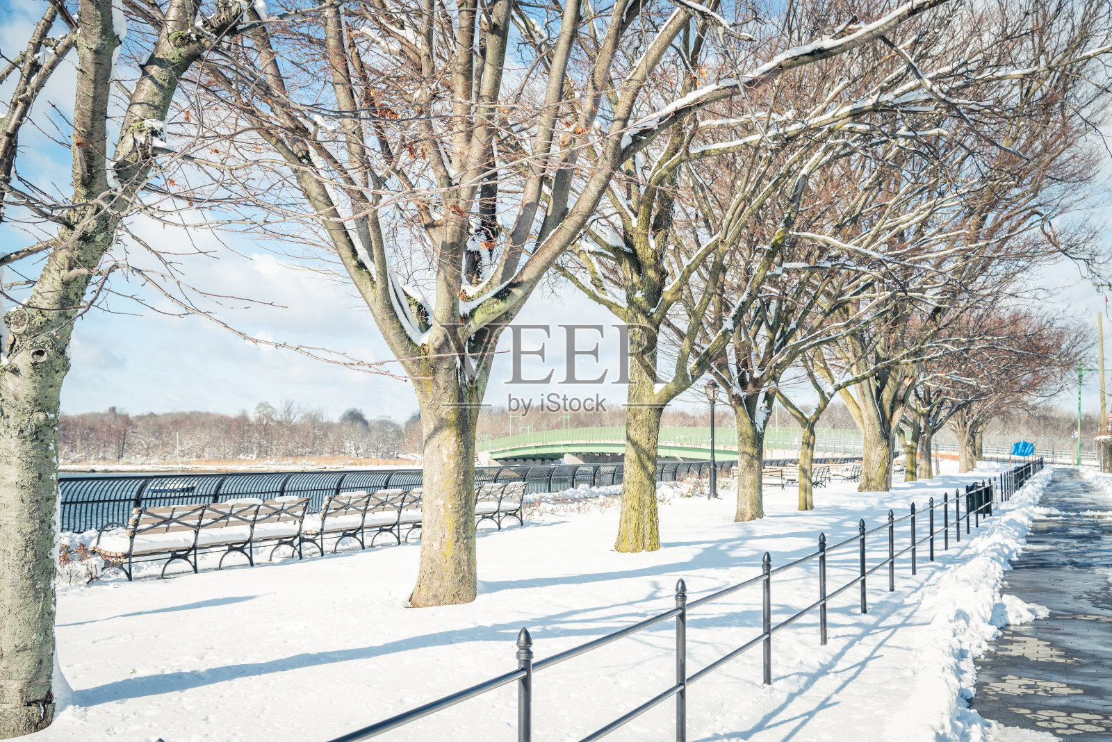 2022年纽约市美丽的初雪日照片摄影图片