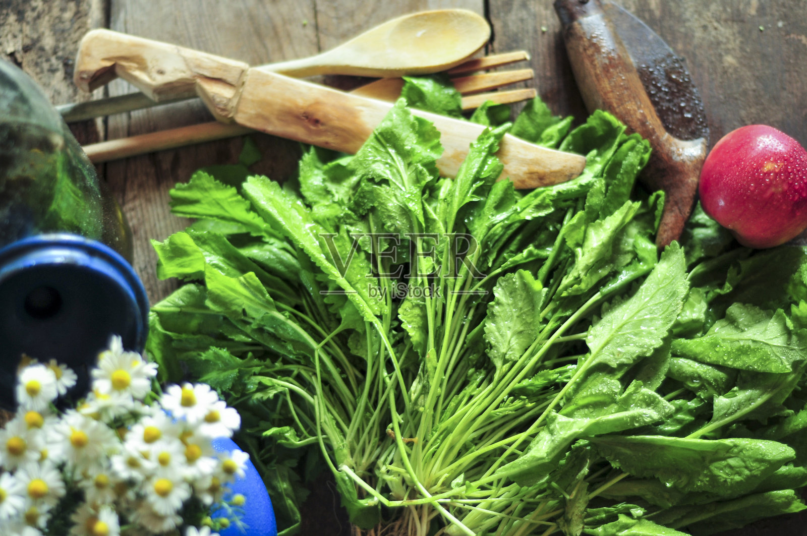 豆瓣菜照片摄影图片