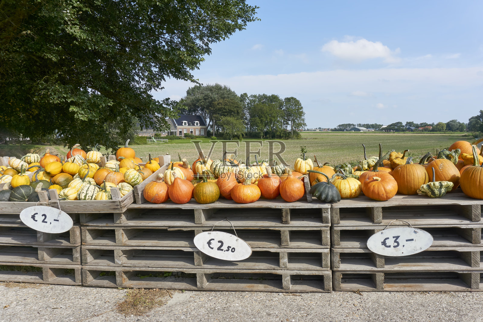 农贸市场上出售的葫芦照片摄影图片