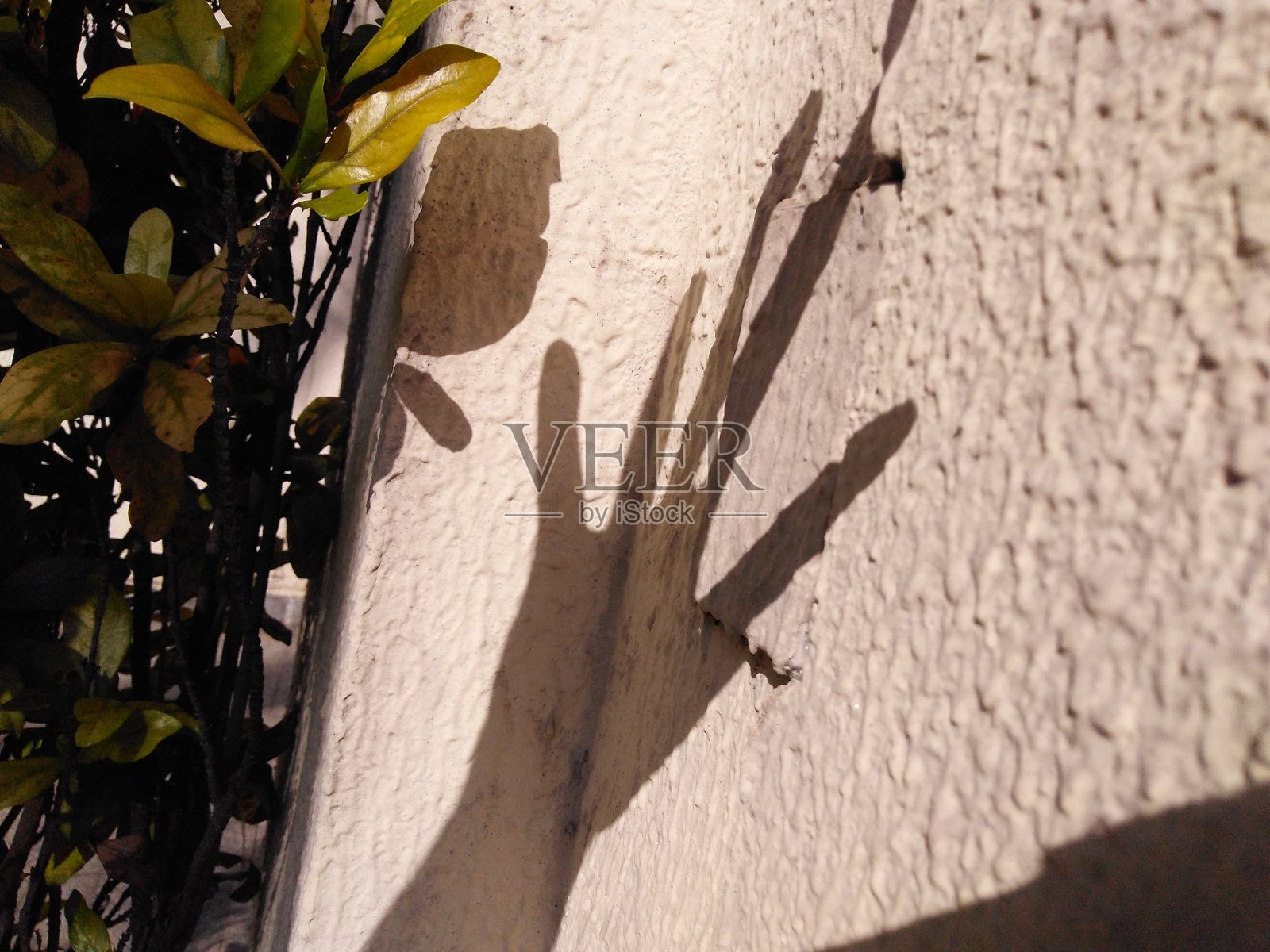 阴影照片摄影图片