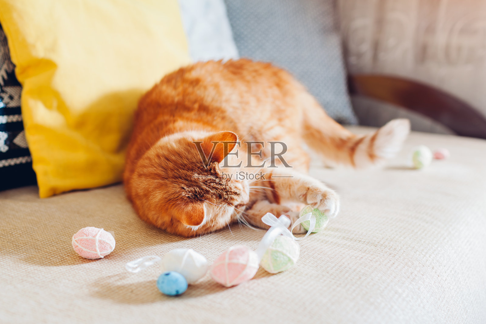 姜猫在家玩复活节彩蛋。宠物在沙发上玩耍。春天节日的象征照片摄影图片